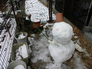 2014021514460000.jpg